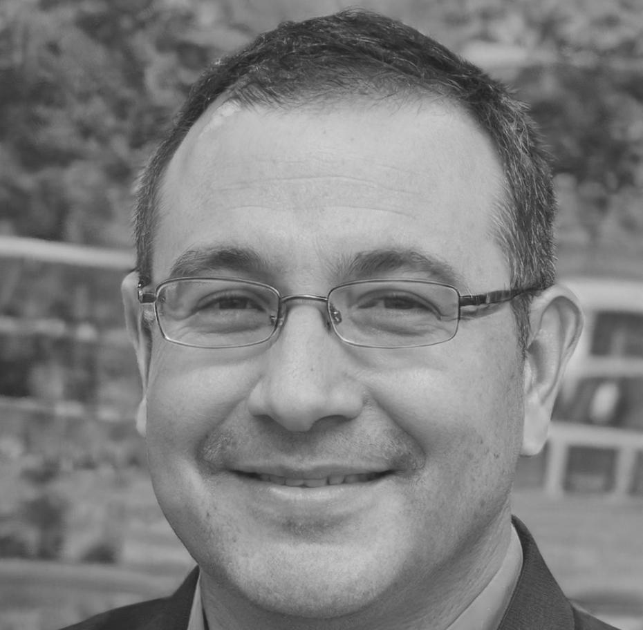 Dragan Petrović, Technical Consultant